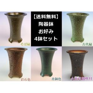 鶴岡商事株式会社 園芸部 - Yahoo!ショッピング
