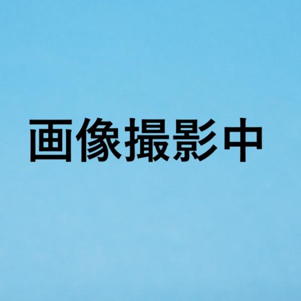 トランスフォーマー MPG-15 サイバトロン/諜報員 サイバトロンラットル