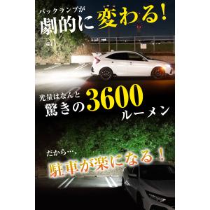 所ジョージの世田谷ベース掲載 S25 LED ...の詳細画像3