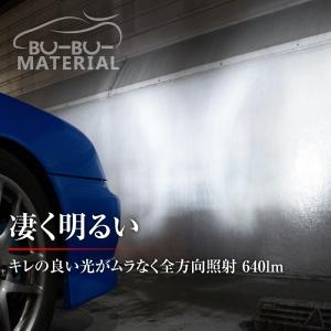 所ジョージの世田谷ベース掲載 T10 バルブ ...の詳細画像1