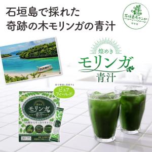 モリンガ 粉末 青汁 沖縄県産 モリンガパウダ...の詳細画像3