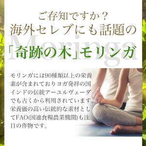 モリンガ 粉末 青汁 沖縄県産 モリンガパウダ...の詳細画像4
