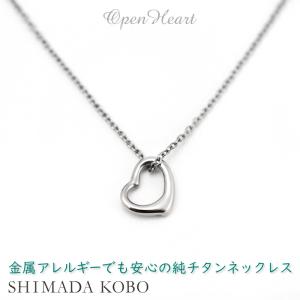 キュービックジルコニア CZ 一粒石 ペンダント 金属アレルギー 対応 