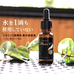 アクアーリオ 520ml ビーワン 環境保全研究所 無添加天然化粧水