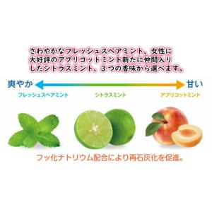 ブリリアントモア 90g 3個セット「箱あり」...の詳細画像3