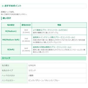 ライオン マキシマ 4本 歯ブラシ(DENT....の詳細画像2