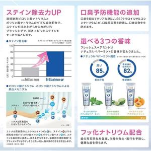 ブリリアントモア 90g 5本セット ライオン...の詳細画像1