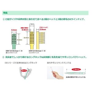 ライオン スリムヘッド 2 20本 歯ブラシ ...の詳細画像2