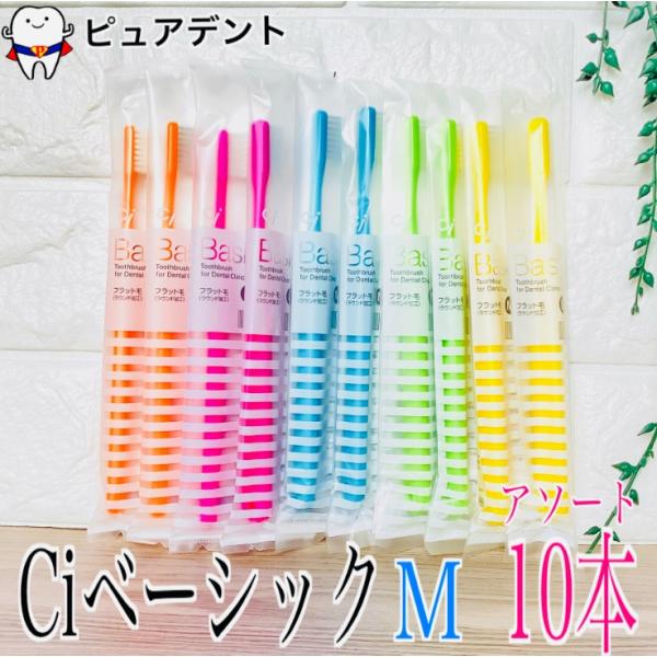 【硬さカラー選べる！】Ci ベーシック M ふつう 10本 歯ブラシ フラット毛（ラウンド加工）