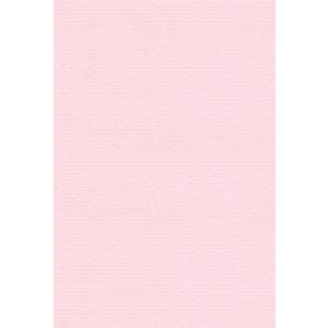 エスケント 色画用紙 リブカラー 四切 ローズ 100枚 26064100