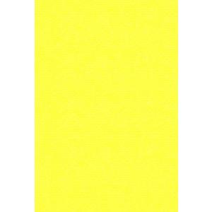 エスケント 色画用紙 リブカラー 八切 レモン 100枚 28058100