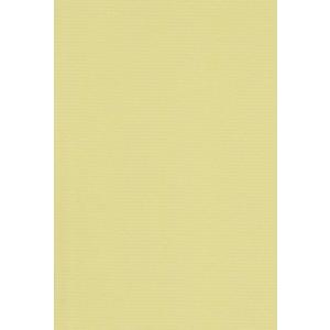 エスケント 色画用紙 ミューズコットン 厚口 A4 ひわ 10枚 41110001