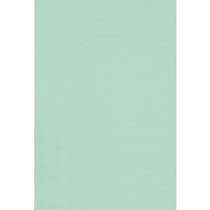 エスケント 色画用紙 ミューズコットン 厚口 A4 あさぎ 10枚 41110012