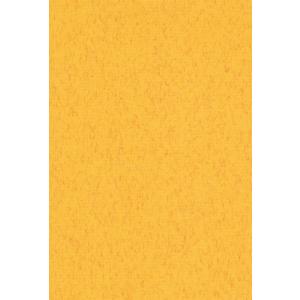 エスケント 色画用紙 ミューズコットン 厚口 A4 やまぶき 10枚 41110020