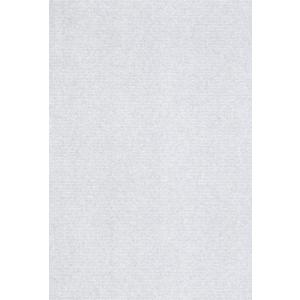 エスケント 色画用紙 ミューズコットン 厚口 A4 すねず 10枚 41110024