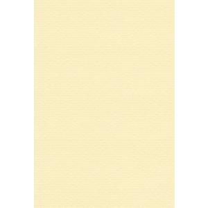 エスケント 色画用紙 リブカラー A5 クリーム 100枚 26021501