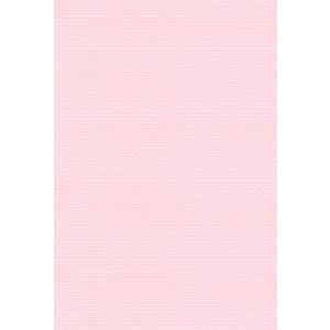 エスケント 色画用紙 リブカラー A5 ローズ 100枚 26061501