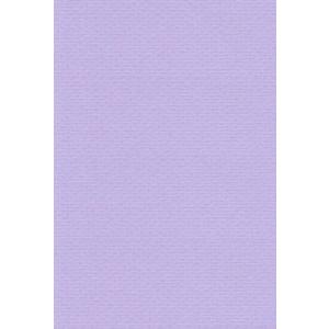エスケント 色画用紙 リブカラー A5 バイオレット 100枚 27041501