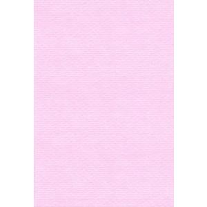 エスケント 色画用紙 リブカラー A5 ピンク 100枚 27011501