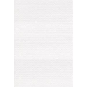 エスケント 色画用紙 リブカラー A5 ホワイト 100枚 26071501