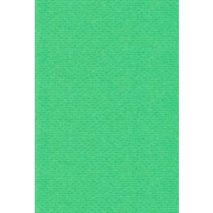 エスケント 色画用紙 リブカラー A5 グリーン 100枚 28031501