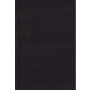 エスケント 色画用紙 リブカラー A5 ピュアブラック 100枚 29011501