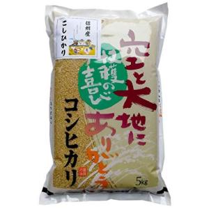 信州産 こしひかり 5kg 令和3年産