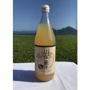 りんごジュース ギフト 長野 ストレート 果汁100％ 飲み切りサイズ