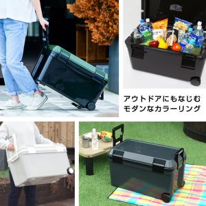 クーラーボックス 大型 限定カラークーラー 容...の詳細画像1