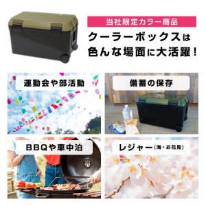 クーラーボックス 大型 限定カラークーラー 容...の詳細画像2