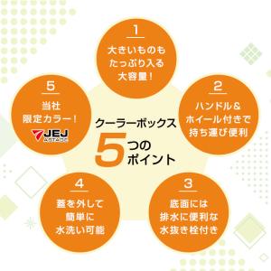 クーラーボックス 大型 限定カラークーラー 容...の詳細画像3