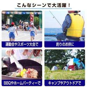 クーラーボックス 7L 小型 フォレスクルー ...の詳細画像5