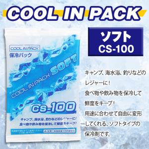 クールインパック ソフト 100g CS-10...の詳細画像1