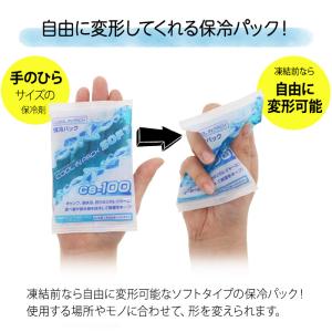クールインパック ソフト 100g CS-10...の詳細画像2
