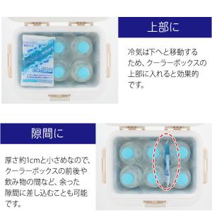 クールインパック ソフト 100g CS-10...の詳細画像3