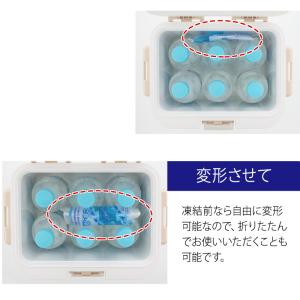 クールインパック ソフト 100g CS-10...の詳細画像4