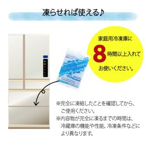 クールインパック ソフト 100g CS-10...の詳細画像5