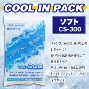 クールインパック ソフト 300g CS-30...の詳細画像1