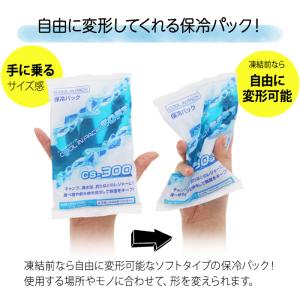 クールインパック ソフト 300g CS-30...の詳細画像2