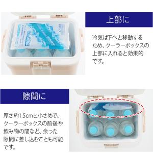 クールインパック ソフト 300g CS-30...の詳細画像3