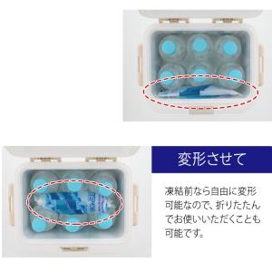 クールインパック ソフト 300g CS-30...の詳細画像4