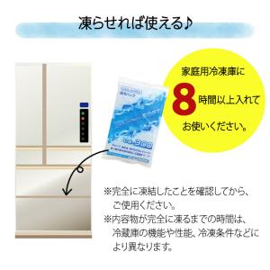 クールインパック ソフト 300g CS-30...の詳細画像5