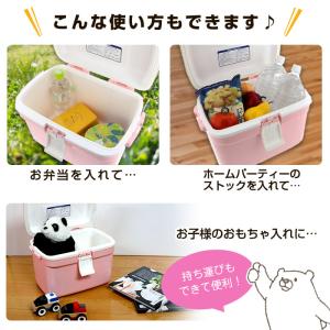 限定カラー クーラーボックス 小型 13L か...の詳細画像3