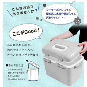 限定カラー クーラーボックス 小型 13L か...の詳細画像5