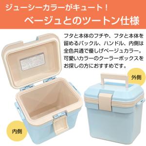 限定カラー クーラーボックス ジューシーカラー...の詳細画像5