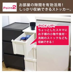 ピット スリムストッカー スリムラック 幅20...の詳細画像5