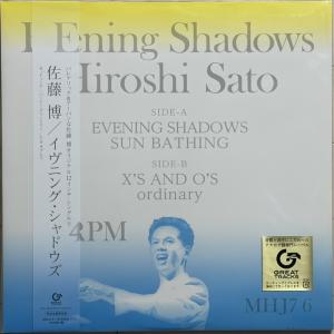 希少プロモ 12インチ 鈴木茂『SEI DO YA星導夜』迷走愛憎LP未収録