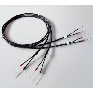 ゾノトーン Zonotone スピーカーケーブル Meister SP-1700 1.0m