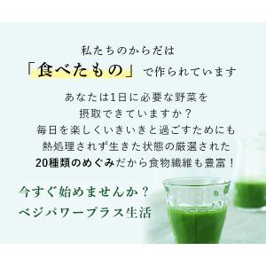 青汁 ベジパワープラス (30包) オーガニッ...の詳細画像5