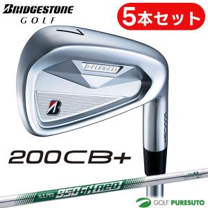 T-Series タイトリスト T100 アイアン6本set(5I-PW) ブラックボロン[5P